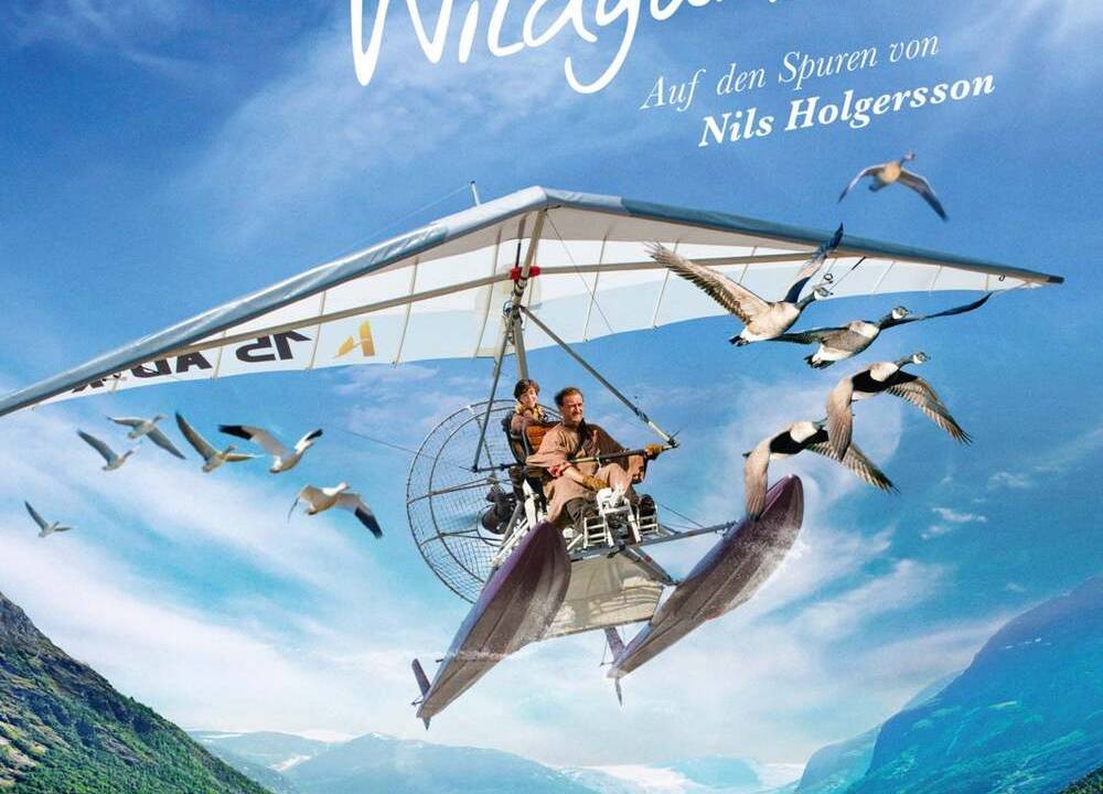 Der Junge und die Wildgänse hdfilme