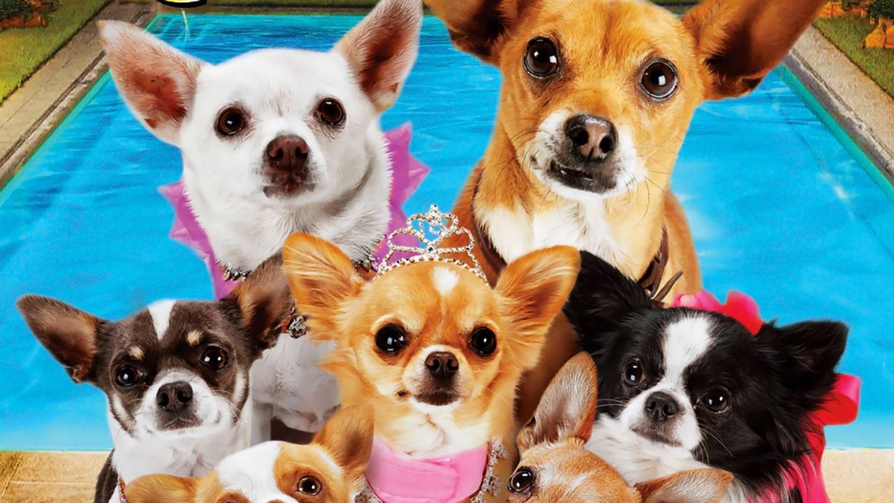 Beverly Hills Chihuahua 3 - Viva La Fiesta! hdfilme