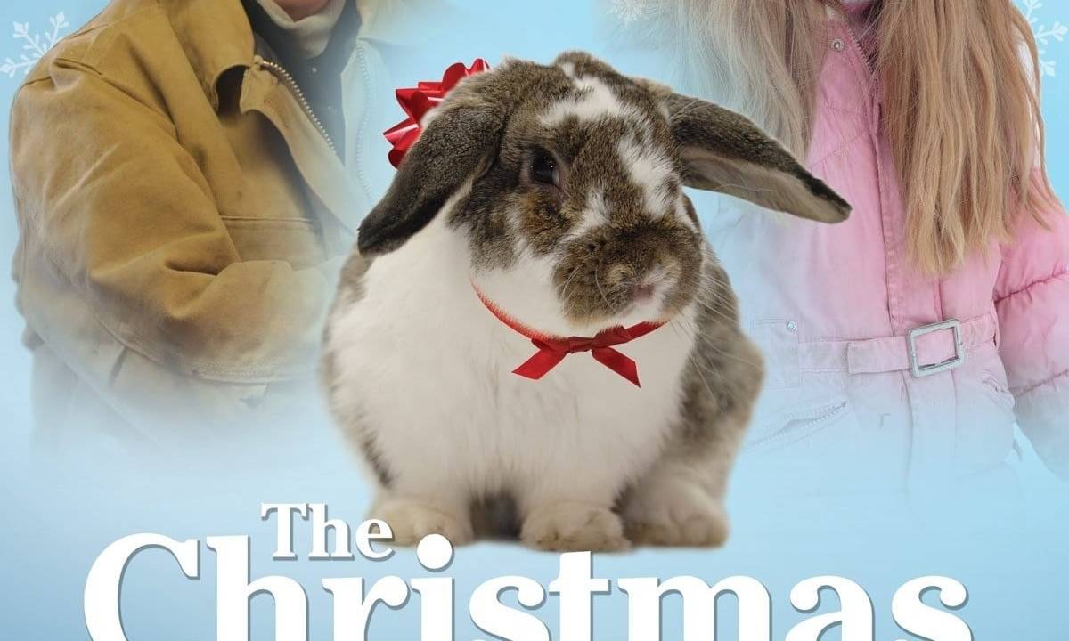 Der Weihnachtshase hdfilme