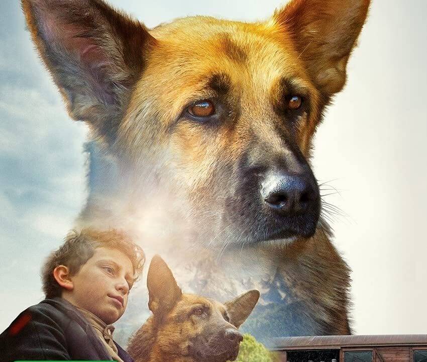 Shepherd - Die Geschichte eines Helden hdfilme