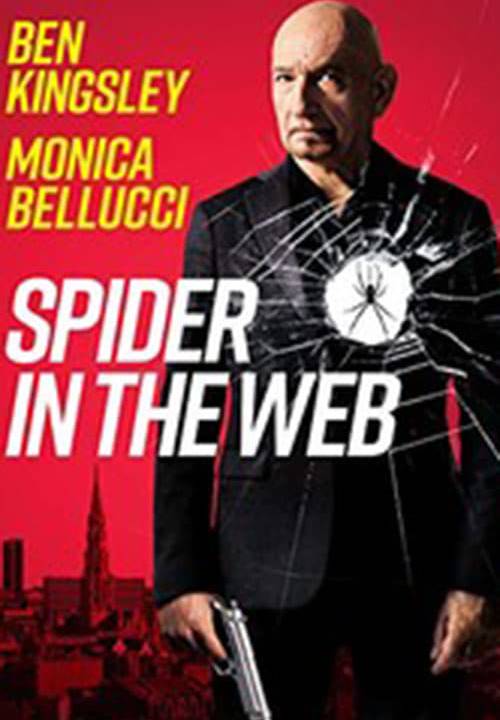 Spider In The Web hdfilme