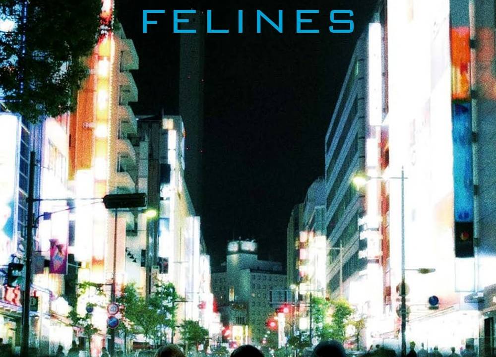 Dawn of the Felines hdfilme