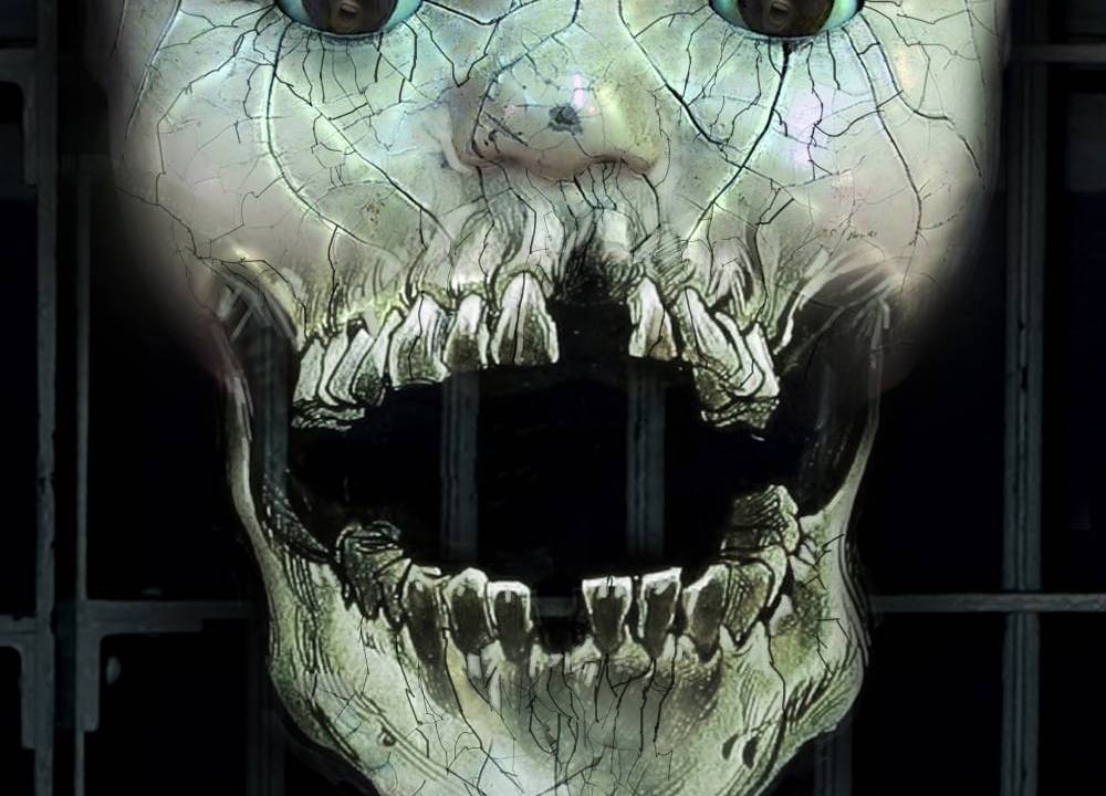 The Nesting 2 - Amityville Asylum hdfilme