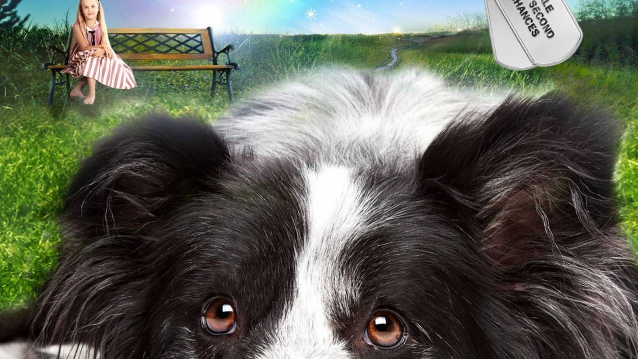 Ein Hund namens Duke hdfilme