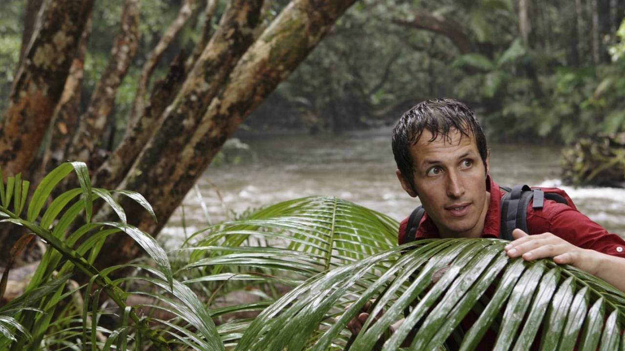 Willi und die Wunder dieser Welt hdfilme