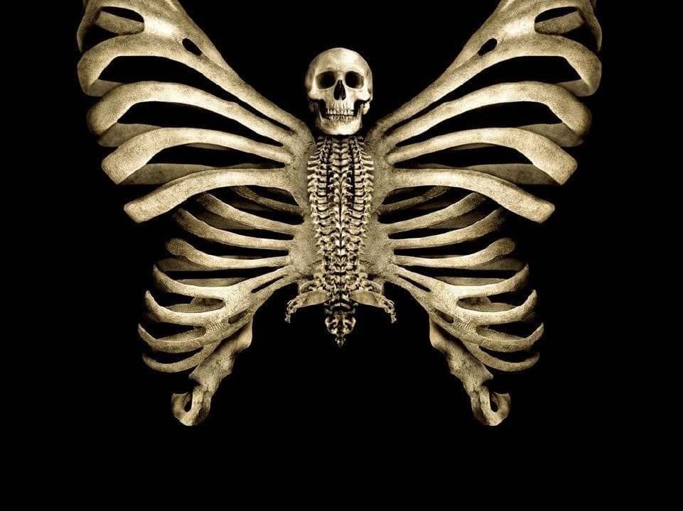 Tooth and Nail hdfilme