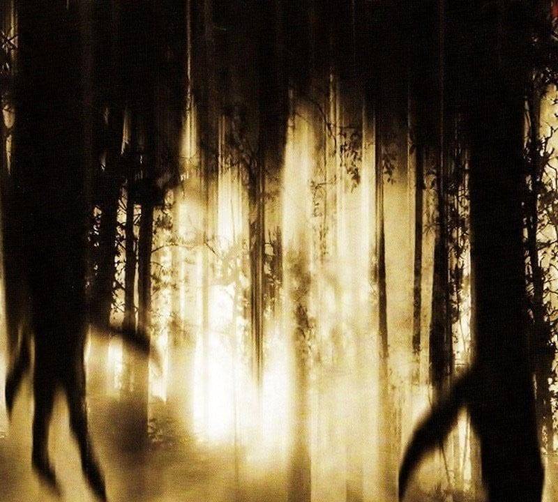 Vergeltung - Sie werden dich finden hdfilme