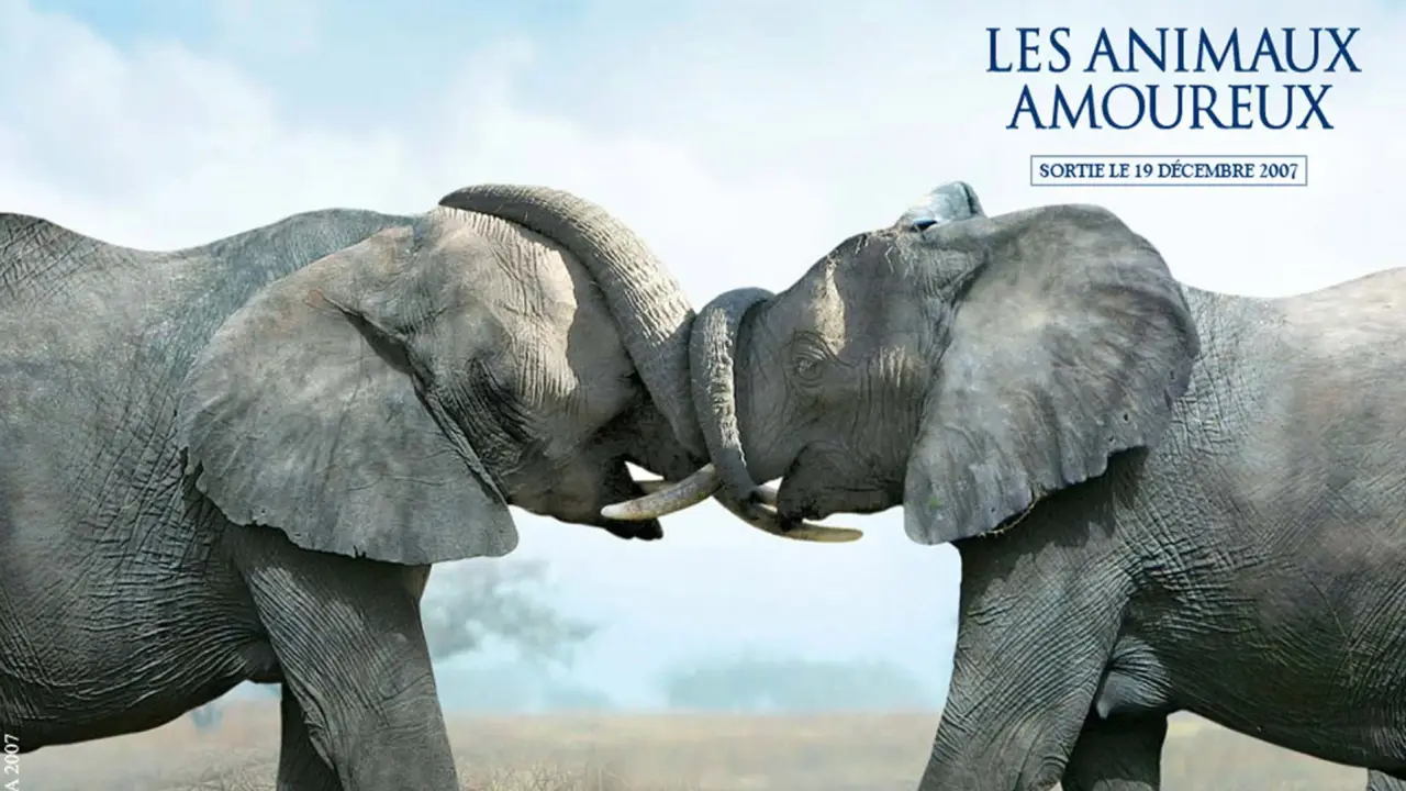 Animals in Love - Tierisch verliebt hdfilme