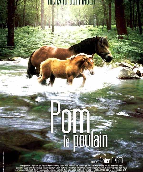 Pom, das treue Fohlen hdfilme