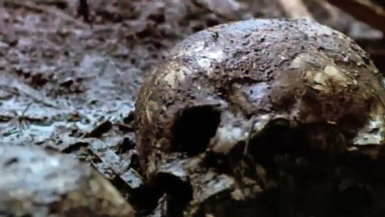 The Riverman - Auf der Jagd nach dem Green River Killer hdfilme