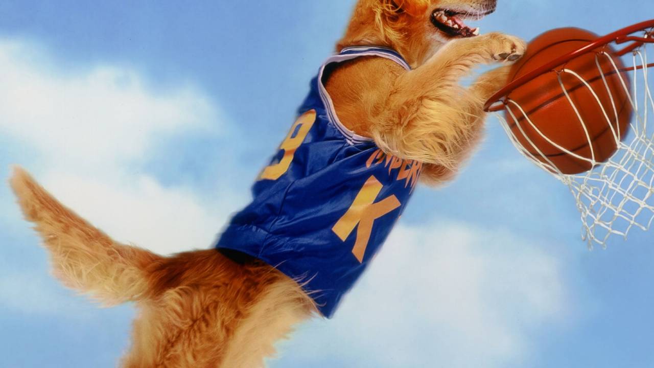 Air Bud - Champion auf vier Pfoten hdfilme