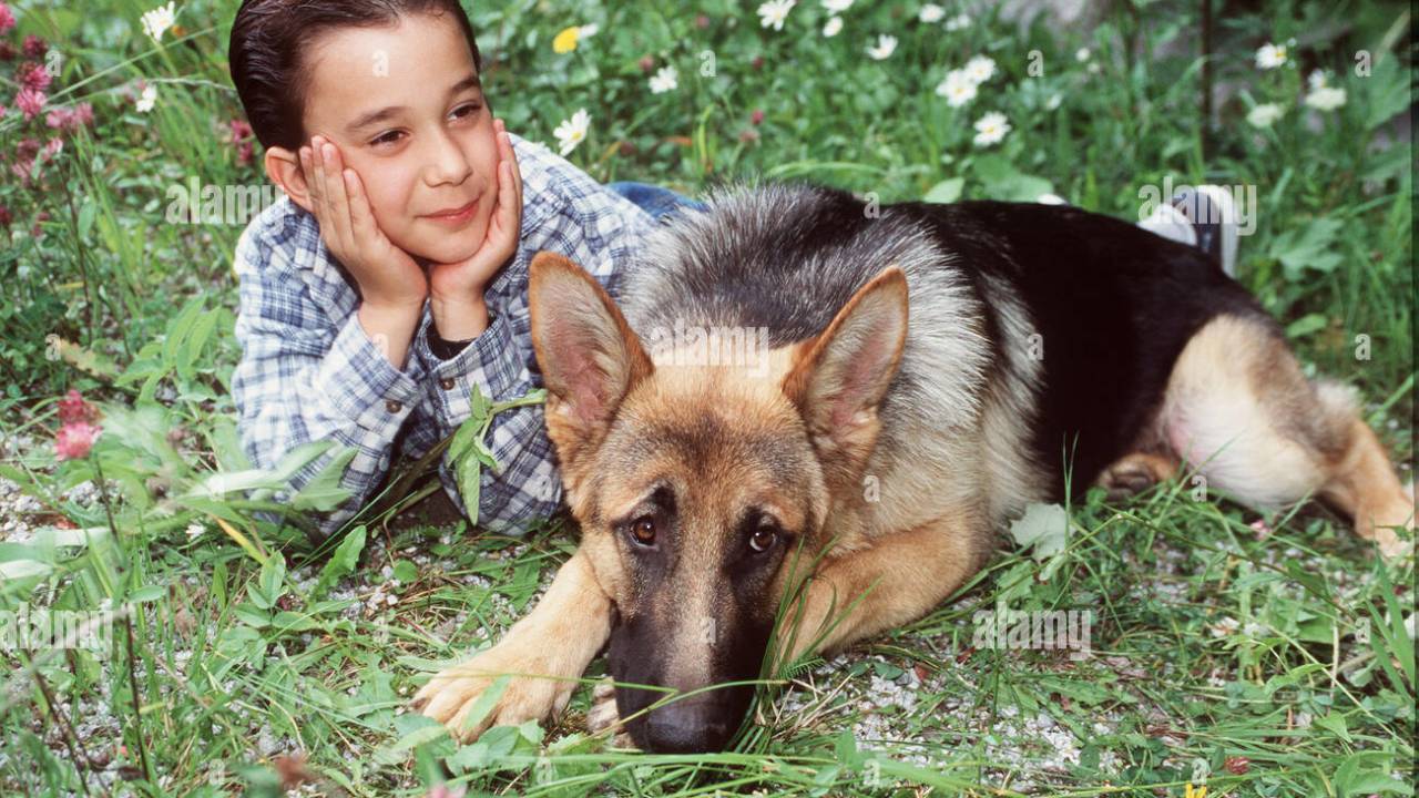 Baby Rex - Der kleine Kommissar hdfilme