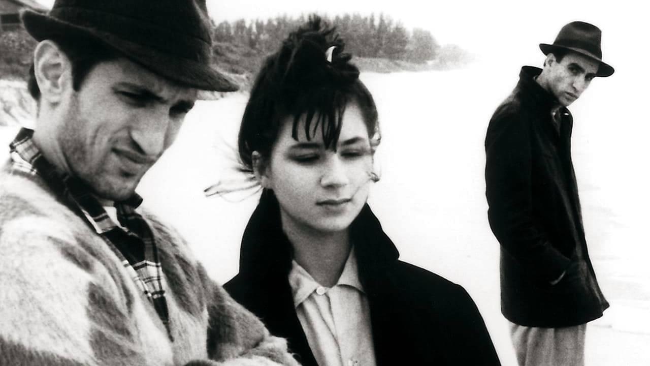 Stranger Than Paradise hdfilme