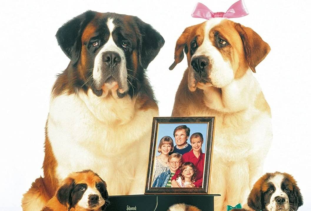 Eine Familie namens Beethoven hdfilme