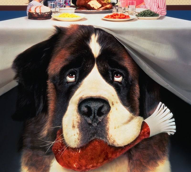 Ein Hund namens Beethoven hdfilme
