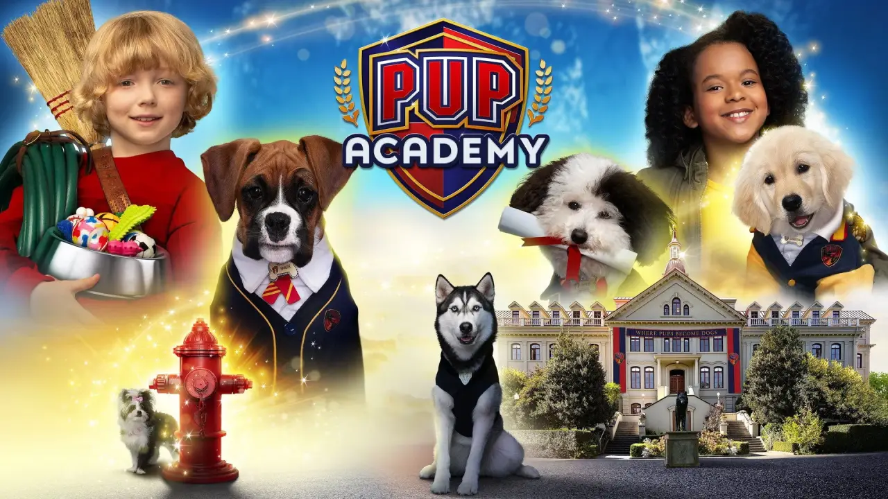 Welpenakademie hdfilme