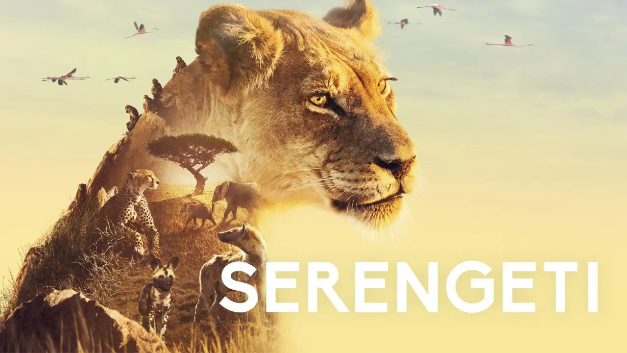 Serengeti hdfilme