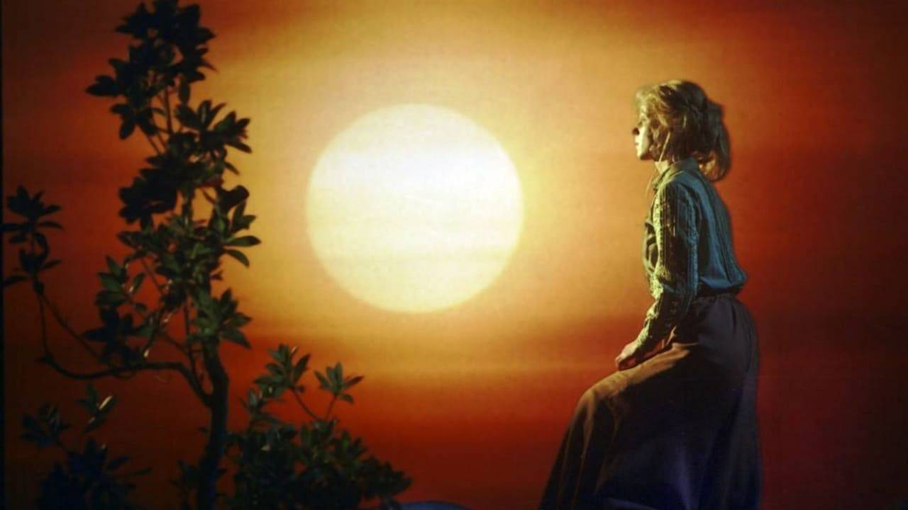 Der Prinz hinter den sieben Meeren hdfilme