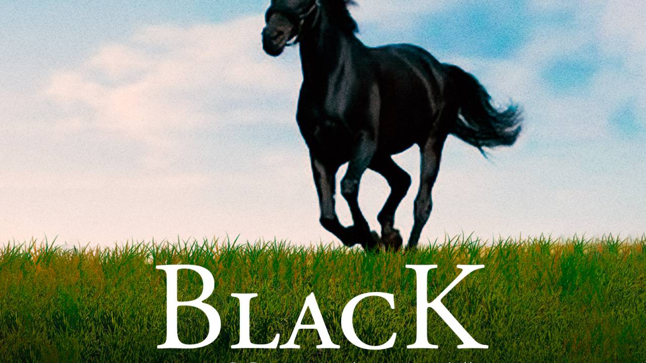Black, der schwarze Blitz hdfilme