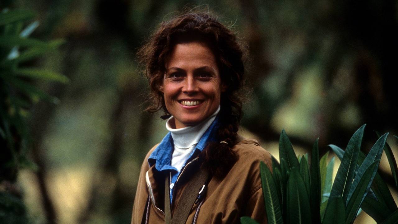 Gorillas im Nebel hdfilme