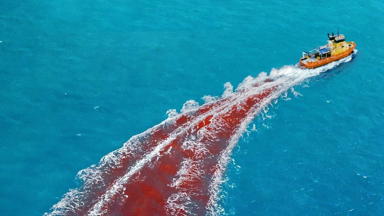 Dangerous Animals hdfilme