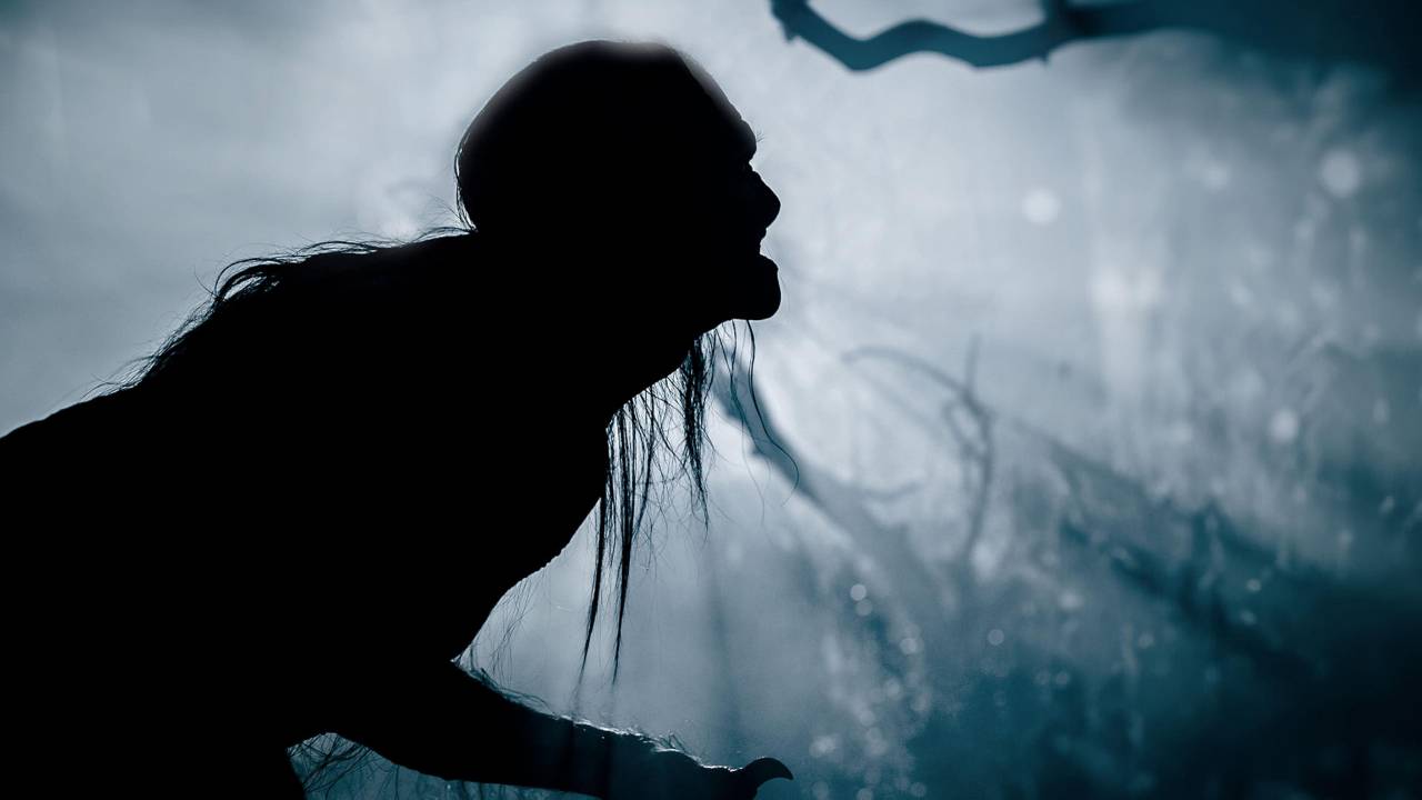 Howl - Endstation Vollmond hdfilme