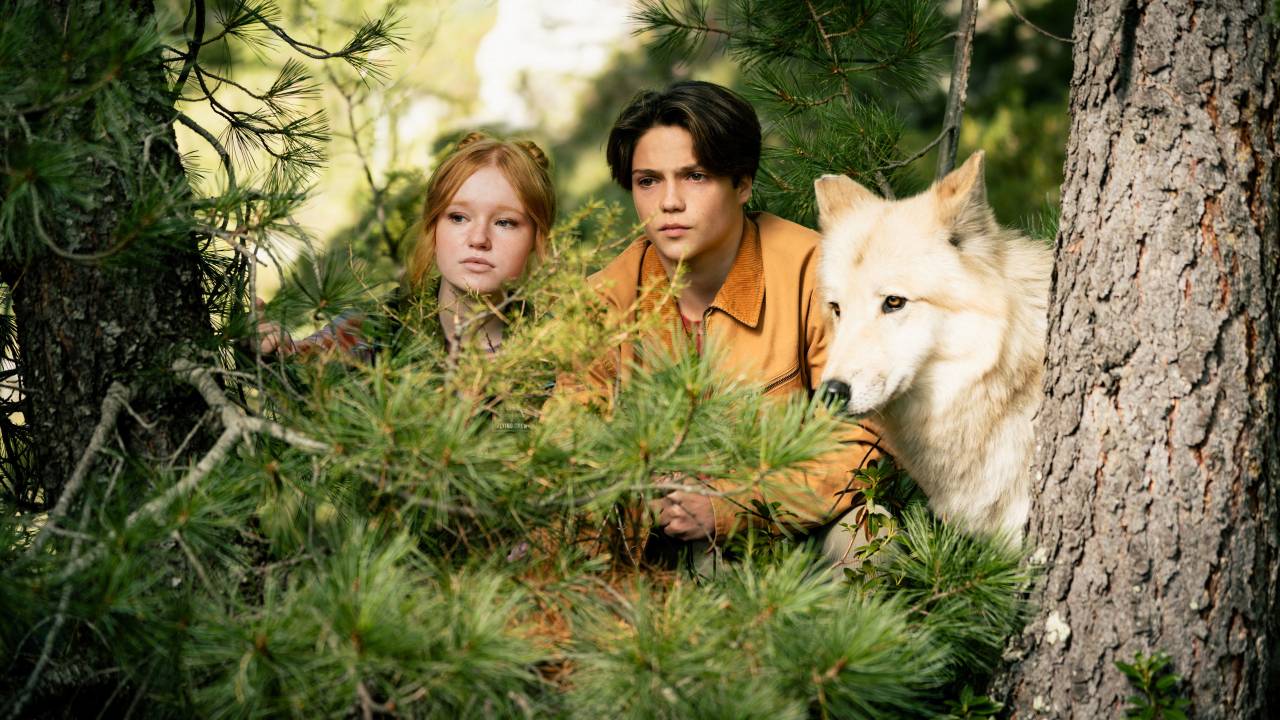 Woodwalkers 2 banner