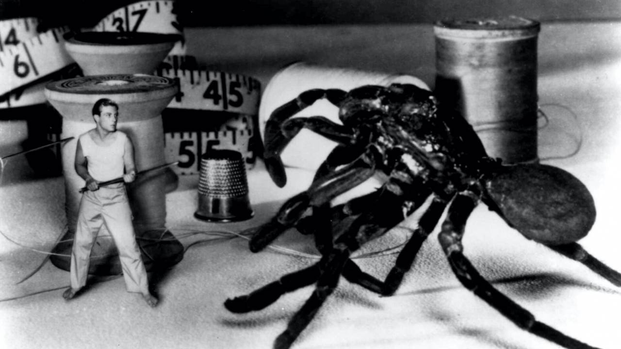 Die unglaubliche Geschichte des Mister C. hdfilme