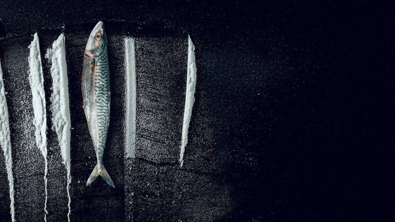 Weißes Meer: Die surreale Story von Rabo de Peixe hdfilme