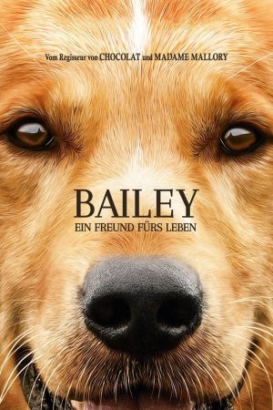 Bailey – Ein Freund fürs Leben