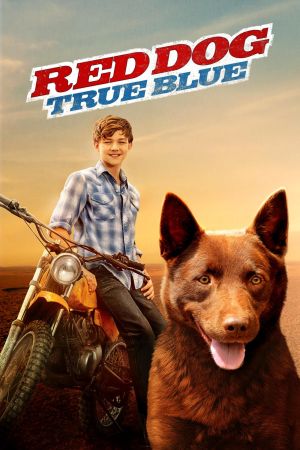 Red Dog – Mein treuer Freund