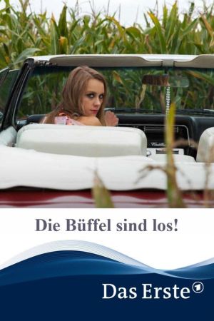 Die Büffel sind los!