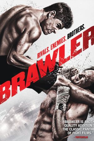 Brawler