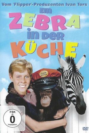 Ein Zebra in der Küche