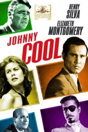 Die Rache des Johnny Cool