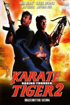 Karate Tiger 2