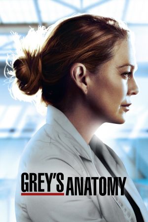 Grey's Anatomy (Seasons 14-20)