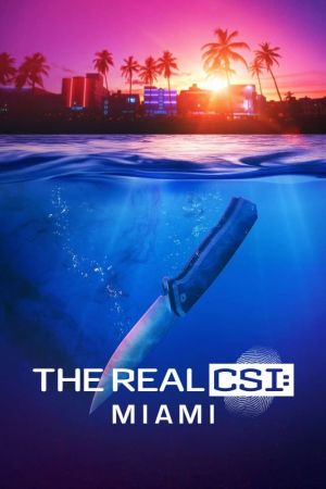 The Real CSI: Miami hdfilme stream online