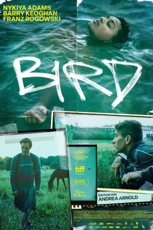 Bird hdfilme stream online