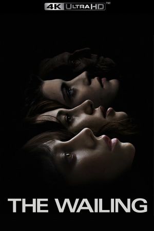 The Wailing - Der Tod hat viele Gesichter