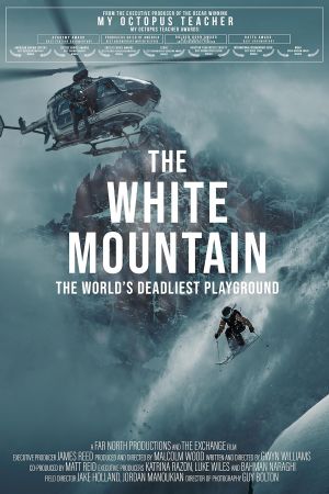 The White Mountain poster