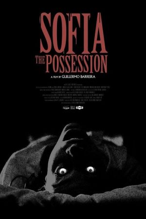 Sofia - The Possession poster