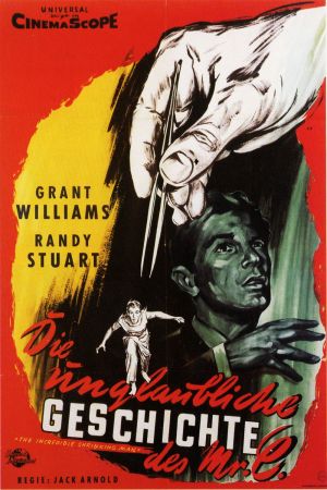 Die unglaubliche Geschichte des Mister C. poster