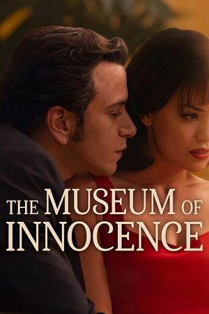 Das Museum der Unschuld poster