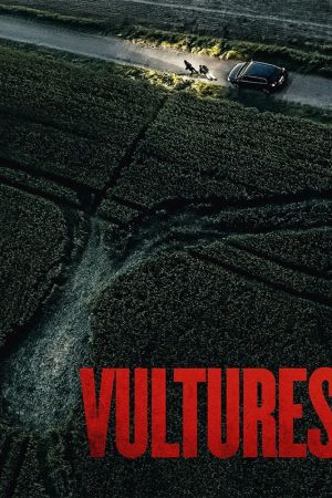 Vultures poster