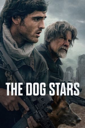Das Ende der Sterne poster