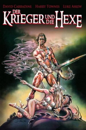 Der Krieger und die Hexe poster